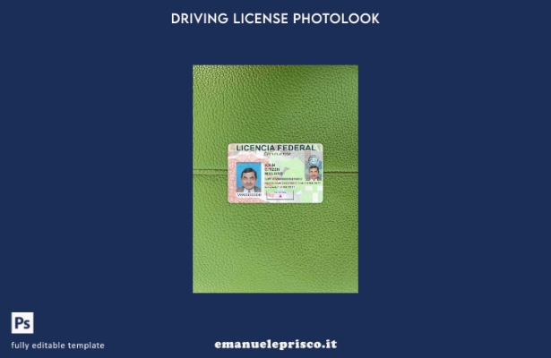 modello FRONTALE photolook della patente di guida messicana in stile verificato